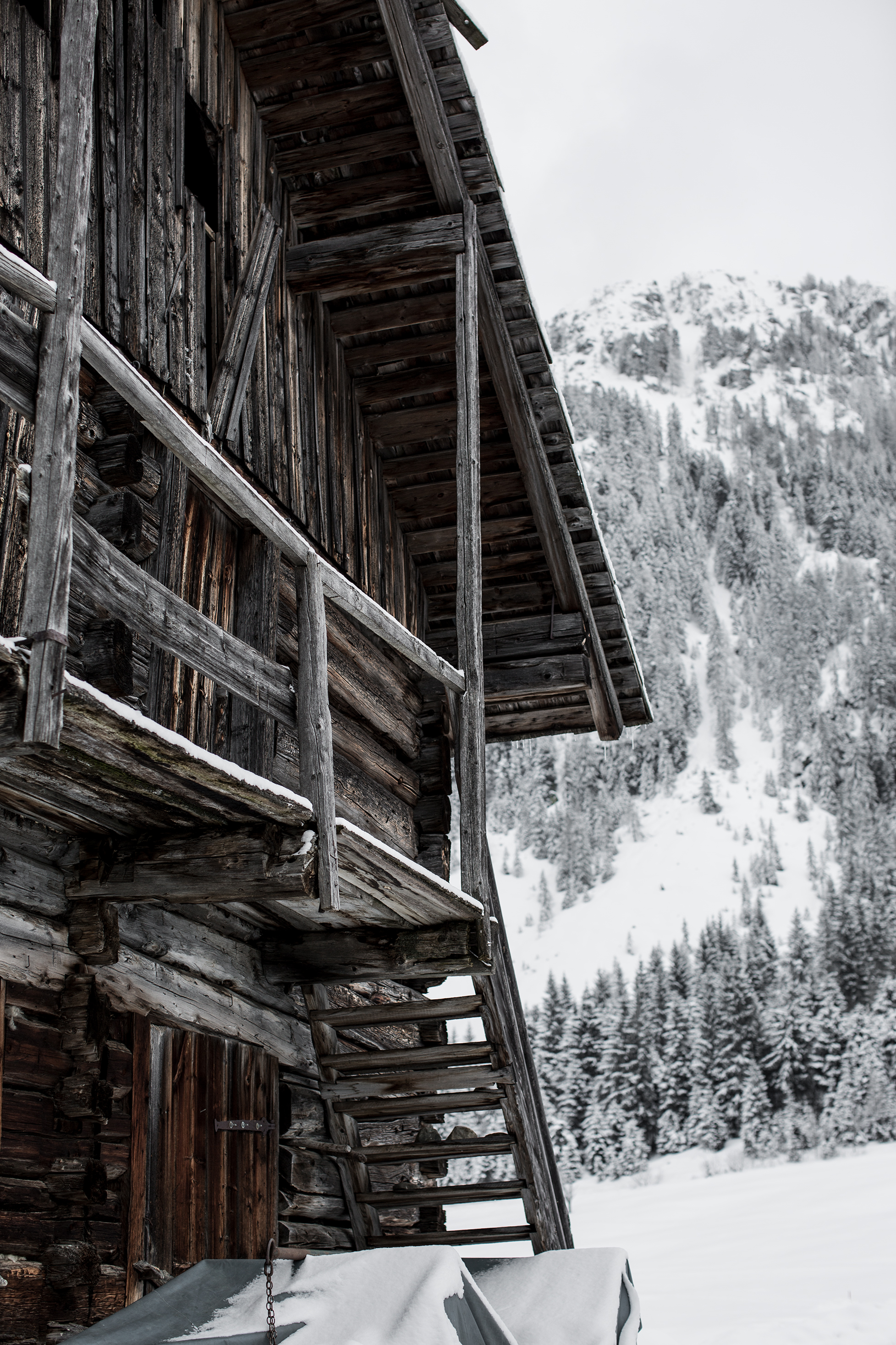 black-palms-skiing-obertauern-o%cc%88sterreich-winter-paradies-lifestyle-17